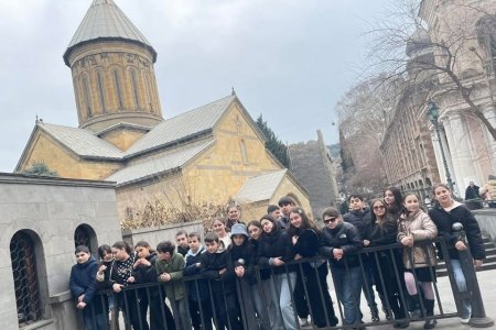სტუმრად იმიტაცშიიების გალერეა