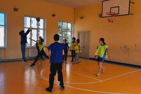 შიდა სასკოლო ოლიმპიადები 