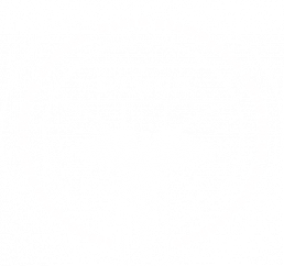 დავით ტვილდიანის სახელობის სამედიცინო უნივერსიტეტის საზოგადოებრივი   საექთნო კოლეჯი logo