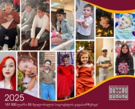 2025 წლის შეჯამება