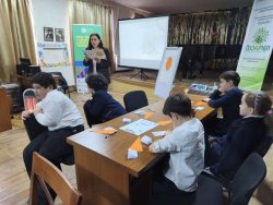 „მერლინი კატისებრთა ოჯახიდან“ 