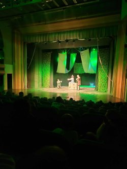 სტუმრად თეატრში  (II, III, IV კლ)