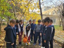 „ბერიკაცი და ნამყენი“ „ბერიკაცი და ნამყენი“