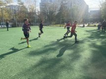 ფიზ. აღზრდისა და სპორტის გაკვეთილზე     (VI კლ)