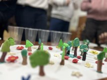 დეკემბრის მწვანე დღეები  (IV კლ)