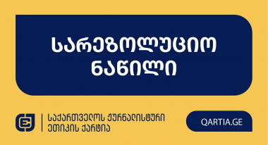 ელისო კილაძემ ქარტიის პირველი და მე-11 პრინციპები დაარღვია