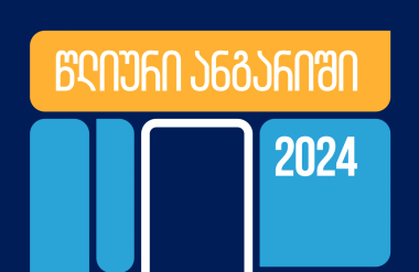 წლიური ანგარიში 2024