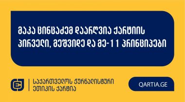 მაკა ცინცაძემ დაარღვია ქარტიის პირველი, მეშვიდე და მე-11 პრინციპები