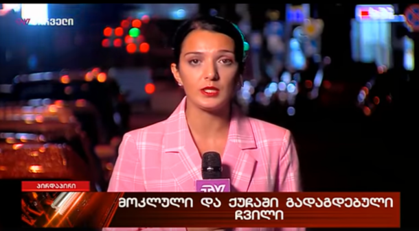  TV პირველის ჟურნალისტის ანა ახალაიას  წინააღმდეგ ქარტიას მიმართეს