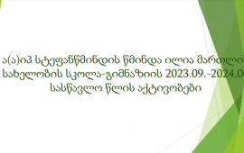 2023-2024 სასწავლო წლის აქტივობები