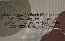 2024-2025 სასწავლო წელი-სასკოლო აქტივობები 