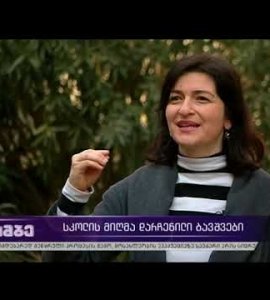 სკოლის მიღმა დარჩენილი ბავშვები მოამბეში