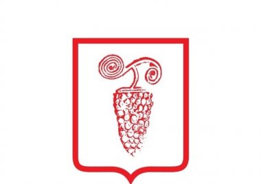 ა(ა)იპ კულტურის ინსტიტუტი გილოცავთ ღვინის ეროვნულ დღეს!