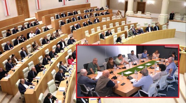 საზმაუს სამეურვეო საბჭოს წევრის კანდიდატურა ღია კონკურსით აღარ შეირჩევა