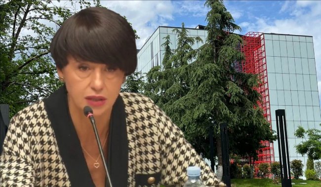 თინა ბერძენიშვილს საზმაუს დირექტორობა მეორე ვადითაც სურს