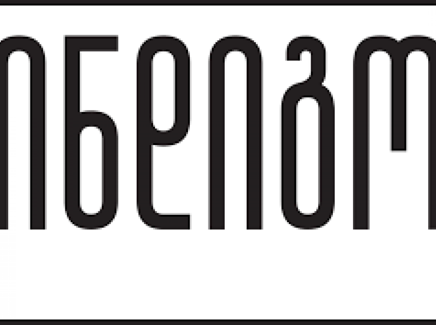 სამთვიანი სტაჟირების პროგრამა „ინდიგოში“