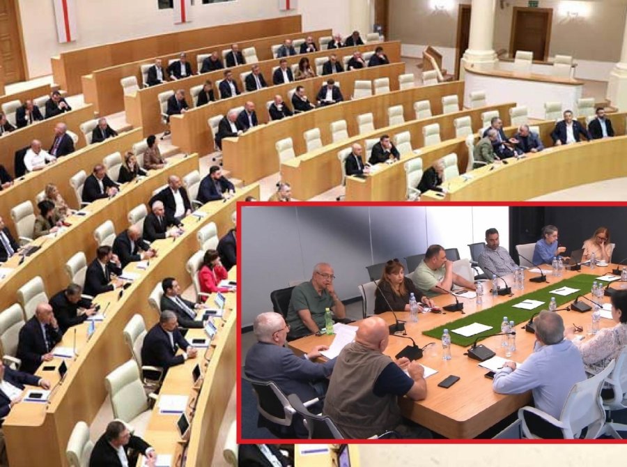 საზმაუს სამეურვეო საბჭოს წევრის კანდიდატურა ღია კონკურსით აღარ შეირჩევა