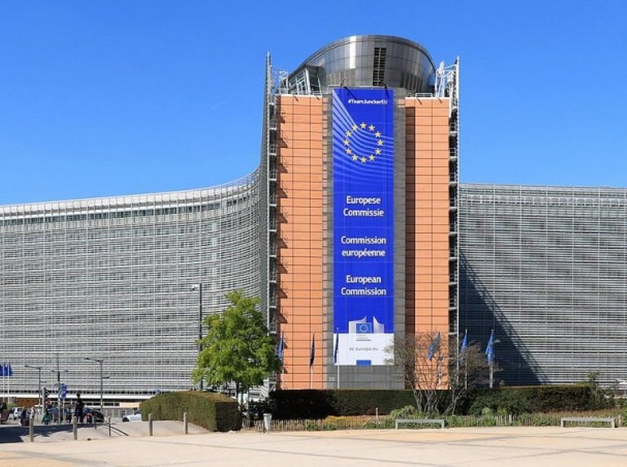 საქართველომ უნდა უზრუნველყოს ჟურნალისტების უსაფრთხოება - ევროკავშირის გაფართოების შესახებ ანგარიში 