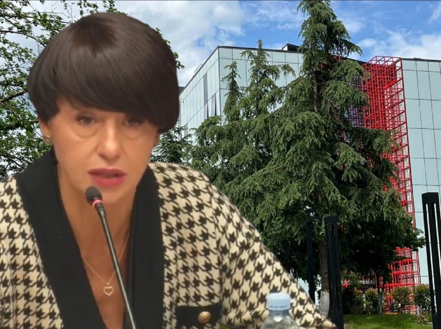 თინა ბერძენიშვილს საზმაუს დირექტორობა მეორე ვადითაც სურს