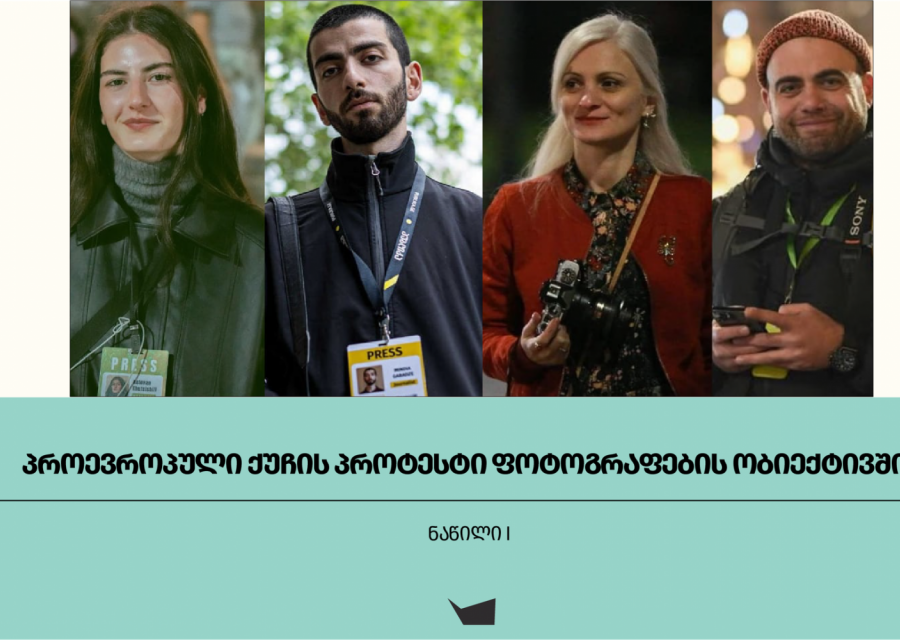 პროევროპული ქუჩის პროტესტი ფოტოგრაფების ობიექტივში 