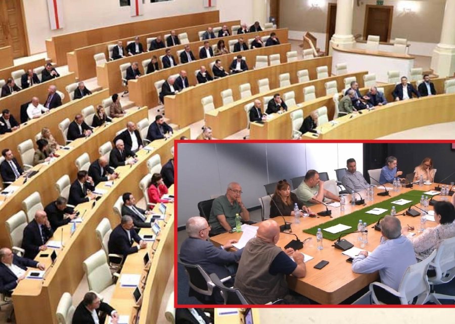საზმაუს სამეურვეო საბჭოს წევრის კანდიდატურა ღია კონკურსით აღარ შეირჩევა