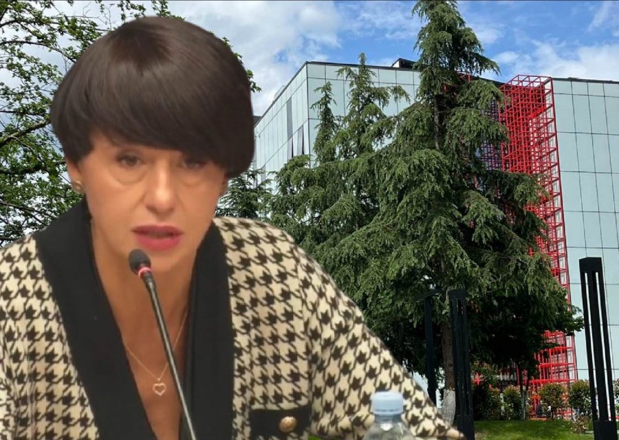 თინა ბერძენიშვილს საზმაუს დირექტორობა მეორე ვადითაც სურს