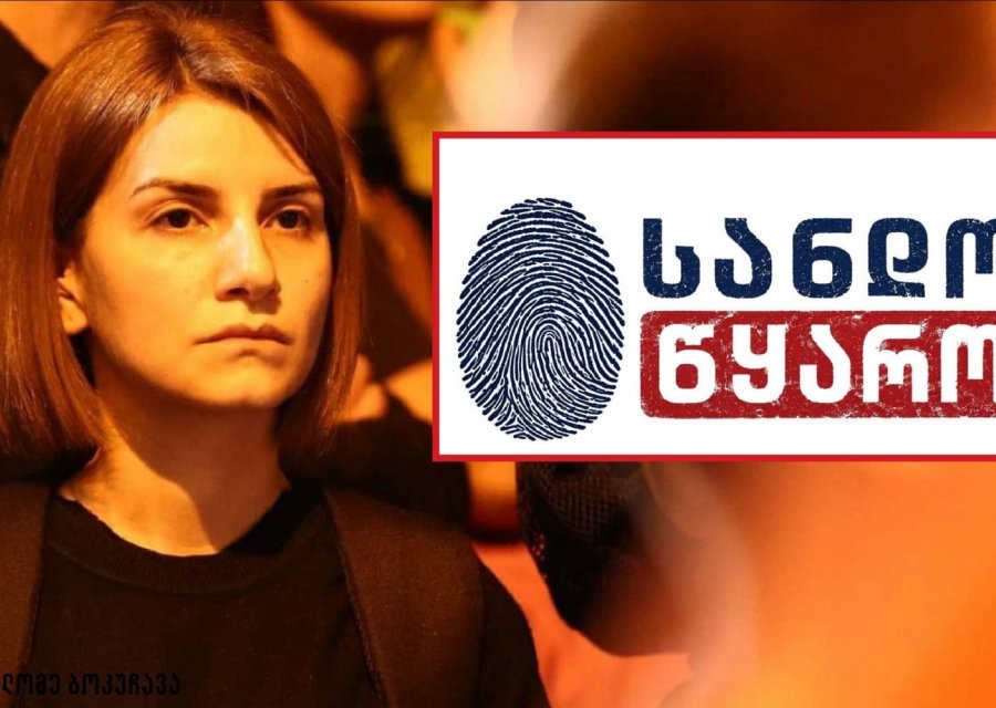 „ჩემი პროფესიის გადასარჩენად ვიბრძვი“ - სალომე ბოკუჩავამ ახალი მედიაპლატფორმა, „სანდო წყარო“ დააფუძნა 