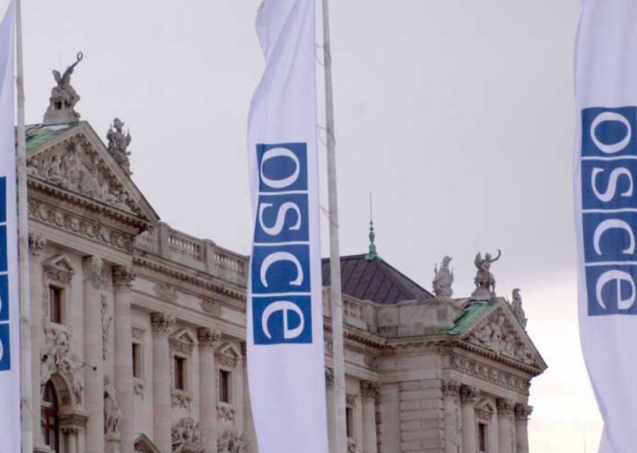 „მოსკოვის მექანიზმის“ ანგარიშის რეკომენდაცია: შეწყდეს იმ ჟურნალისტების დევნა, რომლებიც საპროტესტო აქციებს აშუქებენ