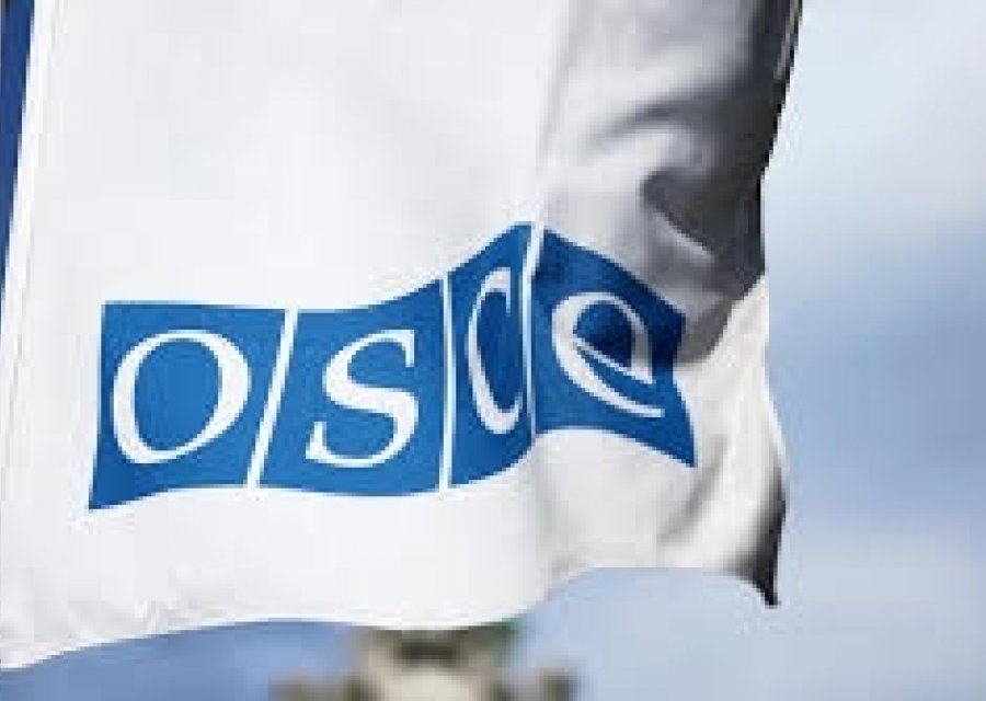 „მოსკოვის მექანიზმის“ ანგარიშის რეკომენდაცია: შეწყდეს იმ ჟურნალისტების დევნა, რომლებიც საპროტესტო აქციებს აშუქებენ