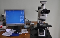 Optical microscope  KINGDAK NMM-800RF/TRF 