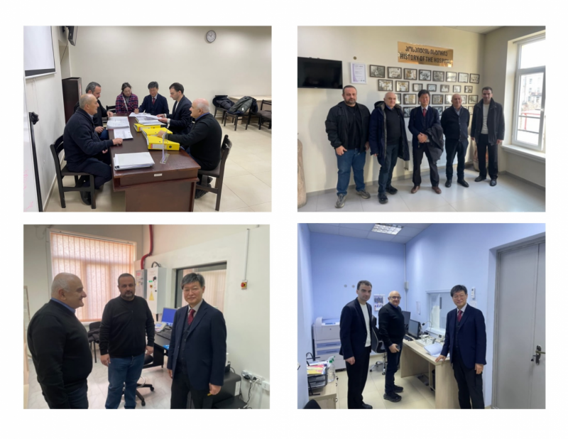 Control audit at LLC “V. Sanikidze War Veterans Clinical Hospital”