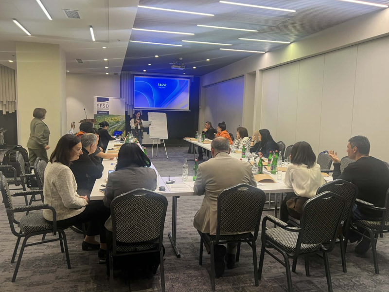 2025 წლის 16-17 დეკემბერი  ქ. ერევანი (სომხეთი)