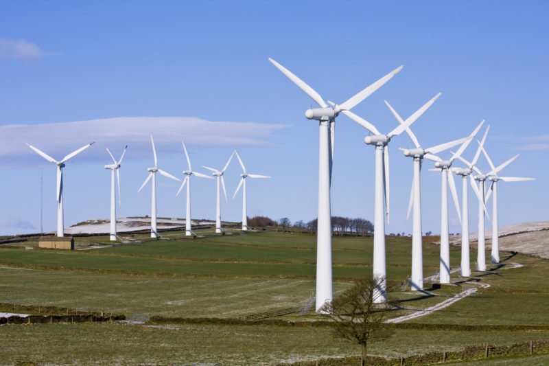 Оценка биоразнообразия и подготовка отчета по ветряной электростанции г. Гори