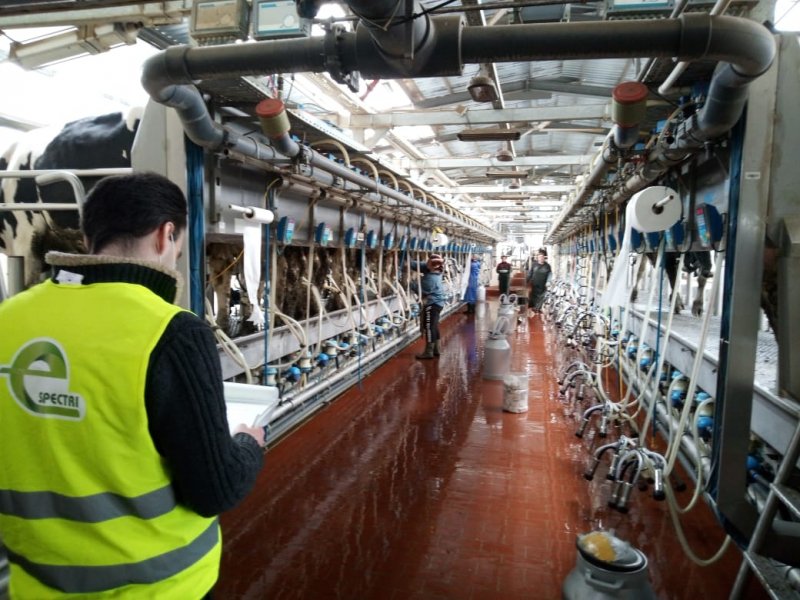 Подготовка скрининг отчета для молочного предприятия ООО «Кварлис Бага»