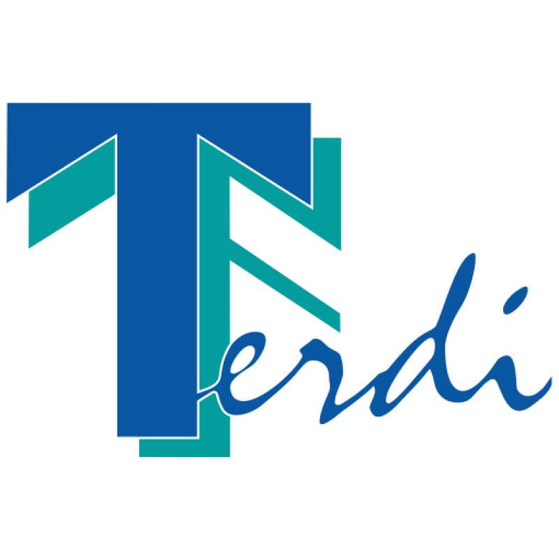 Сертификация системы менеджмента качества по стандарту ISO 9001:2015 в ООО «Центр функциональной диагностики и коррекции стопы — Терди»