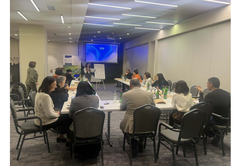 December 16-17, 2025 Yerevan (Armenia)