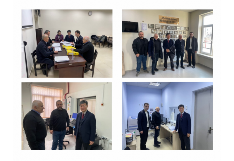 Control audit at LLC “V. Sanikidze War Veterans Clinical Hospital”