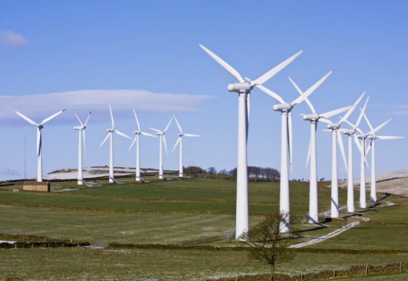 Оценка биоразнообразия и подготовка отчета по ветряной электростанции г. Гори