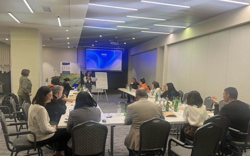 2025 წლის 16-17 დეკემბერი  ქ. ერევანი (სომხეთი)