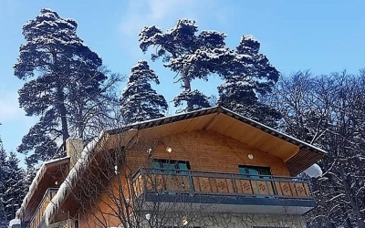  Villa BarLeon-Bakuriani (Коттедж В) 