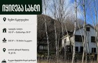 იყიდება სახლი წყლულეთი