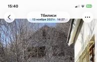 იყიდება სახლი წყლულეთი